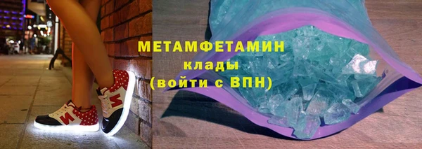 прущие грибы Сясьстрой