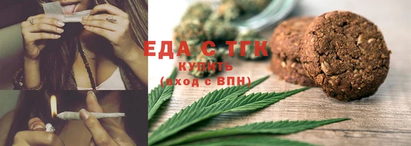 прущие грибы Сясьстрой