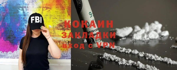 прущие грибы Сясьстрой