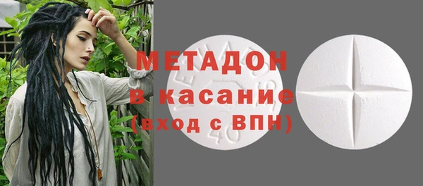 прущие грибы Сясьстрой