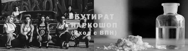 прущие грибы Сясьстрой