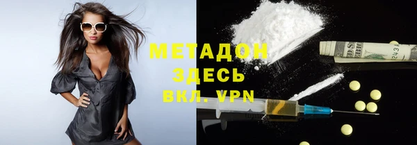 прущие грибы Сясьстрой