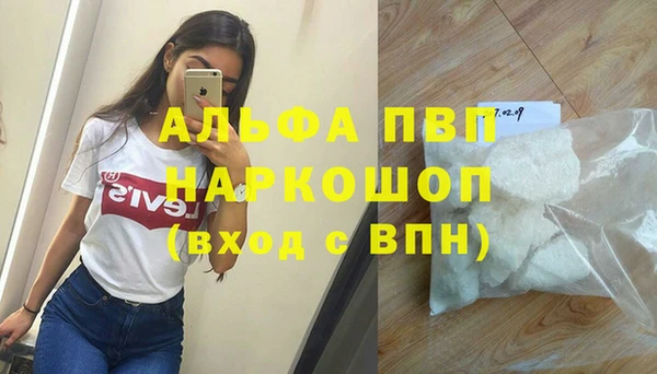 прущие грибы Сясьстрой