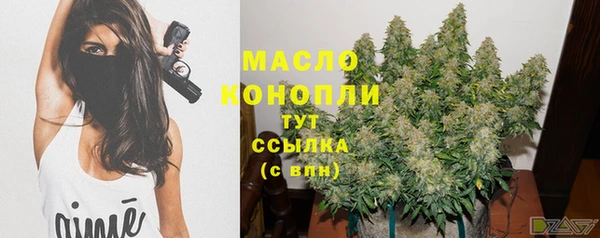 прущие грибы Сясьстрой