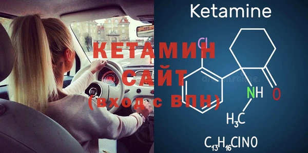 прущие грибы Сясьстрой