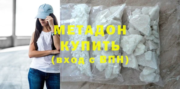 прущие грибы Сясьстрой